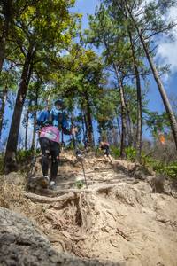 BIB: 3488
                            <button type="button" onclick="openModal(15932299)" class="btn btn-primary btn-sm float-right btn-popup" data-toggle="modal" data-target=".modal-high-quality">
                        <i class="fas fa-shopping-cart"></i> Add to Cart
                    </button>
                                            <button type="button" onclick="isThisMe(15932299, true)" class="btn btn-success btn-sm float-right btn-popup btn-isme hidden" data-toggle="tooltip" data-placement="bottom" title="นี่คือรูปของคุณใช่ไหม คลิกที่นี่เพื่อเอาเข้าอัลบั้ม">
                        <i class="fas fa-plus"></i> Add to album
                    </button>
                    <button type="button" onclick="isThisMe(15932299, false)" class="btn btn-warning btn-sm float-right btn-popup btn-isnotme hidden">
                        <i class="fas fa-ban"></i> Remove from album
                    </button>